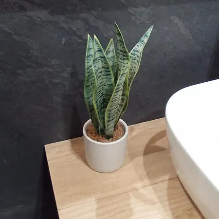 Apartment Apartamento Peace Astillero El Astillero