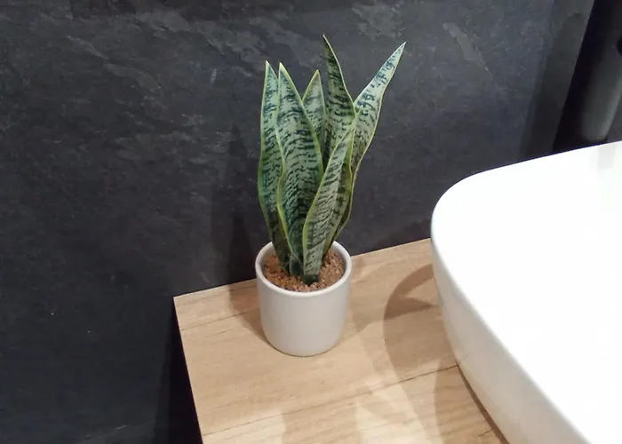 Lejlighed Apartamento Peace Astillero El Astillero